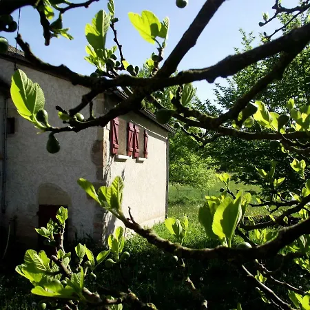 Brindille *